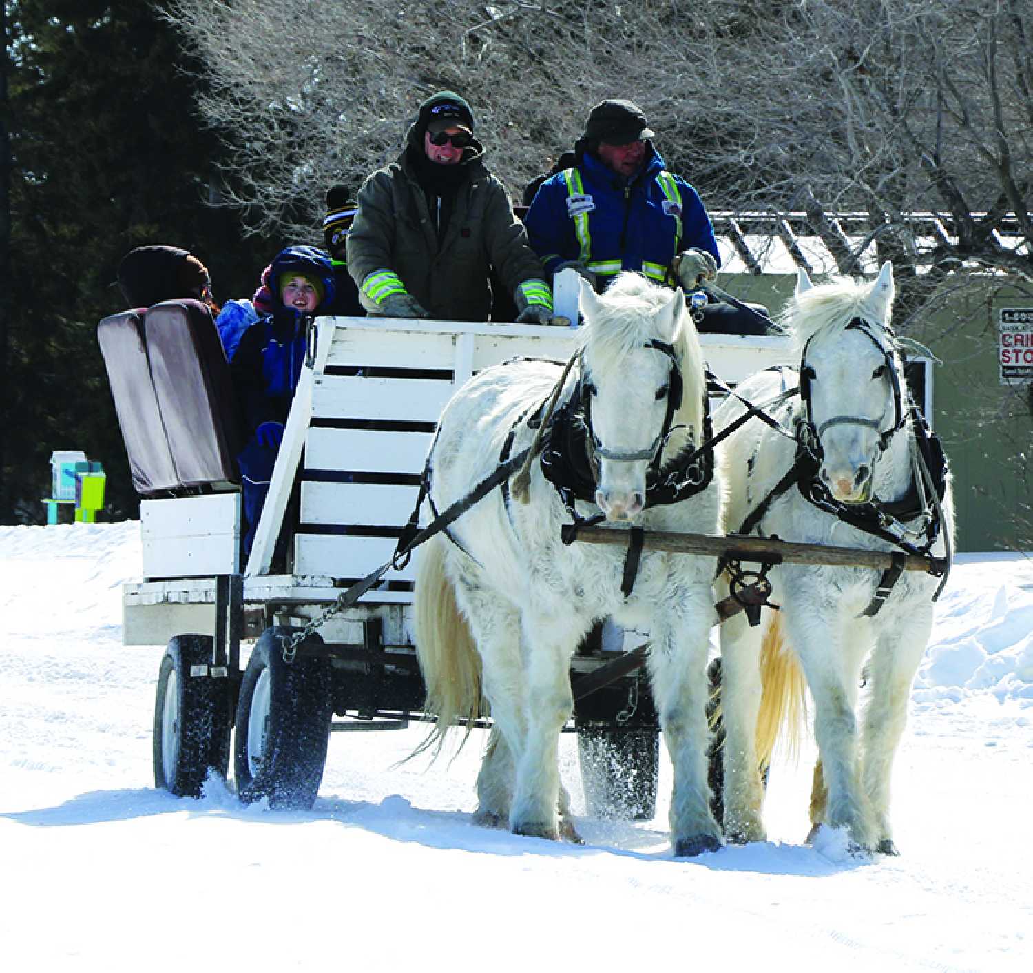 Sleigh rides at Moosomin Lake